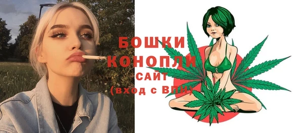 PSILOCYBIN Бугульма