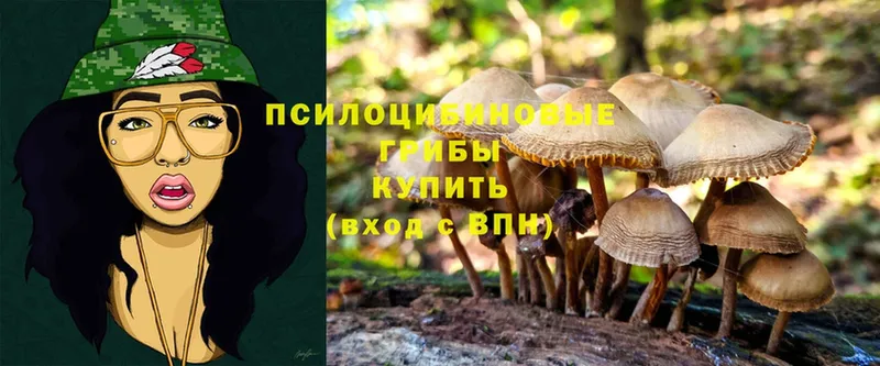 Галлюциногенные грибы Cubensis  Пугачёв 